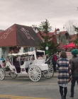Filename=A_Taste_Of_Christmas_mp46244.jpg
Filesize=1299KiB
Dimensions=1920x1072
Date added=Sep 23, 2025 A_Taste_Of_Christmas_mp46244.jpg