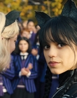 Filename=Wednesday_S01E02_mp45632.jpg
Filesize=1112KiB
Dimensions=1920x1032
Date added=Dec 03, 2022 Wednesday_S01E02_mp45632.jpg