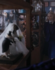 Filename=Wednesday_S01E03_mp47177.jpg
Filesize=827KiB
Dimensions=1920x1032
Date added=Dec 03, 2022 Wednesday_S01E03_mp47177.jpg