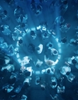 Filename=Wednesday_S01E04_mp42350.jpg
Filesize=1090KiB
Dimensions=1920x1032
Date added=Dec 03, 2022 Wednesday_S01E04_mp42350.jpg