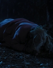 Filename=Wednesday_S01E08_mp44778.jpg
Filesize=936KiB
Dimensions=1920x1032
Date added=Dec 03, 2022 Wednesday_S01E08_mp44778.jpg