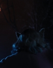 Filename=Wednesday_S01E08_mp44795.jpg
Filesize=659KiB
Dimensions=1920x1032
Date added=Dec 03, 2022 Wednesday_S01E08_mp44795.jpg