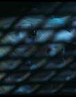 Filename=Wednesday_S02E02_mkv6077.jpg
Filesize=602KiB
Dimensions=1920x1080
Date added=Oct 12, 2025 Wednesday_S02E02_mkv6077.jpg