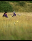 Filename=Wednesday_S02E05_mkv1405.jpg
Filesize=1050KiB
Dimensions=1920x1080
Date added=Oct 12, 2025 Wednesday_S02E05_mkv1405.jpg