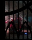 Filename=Wednesday_S02E08_mkv4009.jpg
Filesize=620KiB
Dimensions=1920x1080
Date added=Oct 12, 2025 Wednesday_S02E08_mkv4009.jpg