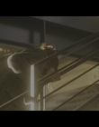 Filename=Family_Switch_mkv1905.jpg
Filesize=733KiB
Dimensions=1920x1080
Date added=Dec 02, 2023 Family_Switch_mkv1905.jpg