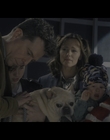 Family_Switch_mkv5152.jpg