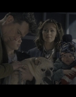 Family_Switch_mkv5153.jpg