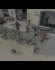 Filename=Family_Switch_mkv5506.jpg
Filesize=876KiB
Dimensions=1920x1080
Date added=Dec 02, 2023 Family_Switch_mkv5506.jpg