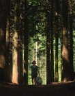Filename=A_Good_Girls_Guide_to_Murder_S01E01_mkv0744.jpg
Filesize=1506KiB
Dimensions=1920x1080
Date added=Jul 24, 2024 A_Good_Girls_Guide_to_Murder_S01E01_mkv0744.jpg