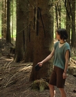 Filename=A_Good_Girls_Guide_to_Murder_S01E01_mkv0775.jpg
Filesize=1742KiB
Dimensions=1920x1080
Date added=Jul 24, 2024 A_Good_Girls_Guide_to_Murder_S01E01_mkv0775.jpg