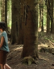 Filename=A_Good_Girls_Guide_to_Murder_S01E01_mkv0777.jpg
Filesize=1683KiB
Dimensions=1920x1080
Date added=Jul 24, 2024 A_Good_Girls_Guide_to_Murder_S01E01_mkv0777.jpg