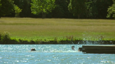 A_Good_Girls_Guide_to_Murder_S01E02_mkv3548.jpg