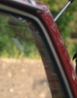 Filename=A_Good_Girls_Guide_to_Murder_S01E02_mkv3470.jpg
Filesize=1085KiB
Dimensions=1920x1080
Date added=Jul 24, 2024 A_Good_Girls_Guide_to_Murder_S01E02_mkv3470.jpg