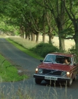 Filename=A_Good_Girls_Guide_to_Murder_S01E02_mkv3504.jpg
Filesize=1494KiB
Dimensions=1920x1080
Date added=Jul 24, 2024 A_Good_Girls_Guide_to_Murder_S01E02_mkv3504.jpg