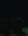 Filename=A_Good_Girls_Guide_to_Murder_S01E02_mkv3785.jpg
Filesize=721KiB
Dimensions=1920x1080
Date added=Jul 24, 2024 A_Good_Girls_Guide_to_Murder_S01E02_mkv3785.jpg