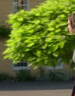 Filename=A_Good_Girls_Guide_to_Murder_S01E03_mkv6718.jpg
Filesize=1308KiB
Dimensions=1920x1080
Date added=Jul 24, 2024 A_Good_Girls_Guide_to_Murder_S01E03_mkv6718.jpg