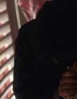 Filename=A_Good_Girls_Guide_to_Murder_S01E03_mkv7038.jpg
Filesize=898KiB
Dimensions=1920x1080
Date added=Jul 24, 2024 A_Good_Girls_Guide_to_Murder_S01E03_mkv7038.jpg