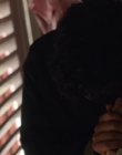 Filename=A_Good_Girls_Guide_to_Murder_S01E03_mkv7039.jpg
Filesize=910KiB
Dimensions=1920x1080
Date added=Jul 24, 2024 A_Good_Girls_Guide_to_Murder_S01E03_mkv7039.jpg