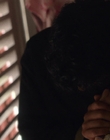 Filename=A_Good_Girls_Guide_to_Murder_S01E03_mkv7040.jpg
Filesize=903KiB
Dimensions=1920x1080
Date added=Jul 24, 2024 A_Good_Girls_Guide_to_Murder_S01E03_mkv7040.jpg