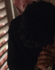 Filename=A_Good_Girls_Guide_to_Murder_S01E03_mkv7049.jpg
Filesize=845KiB
Dimensions=1920x1080
Date added=Jul 24, 2024 A_Good_Girls_Guide_to_Murder_S01E03_mkv7049.jpg