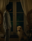 Filename=A_Good_Girls_Guide_to_Murder_S01E05_mkv3127.jpg
Filesize=1300KiB
Dimensions=1920x1080
Date added=Jul 24, 2024 A_Good_Girls_Guide_to_Murder_S01E05_mkv3127.jpg