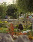 Filename=A_Good_Girls_Guide_to_Murder_S01E05_mkv4027.jpg
Filesize=1686KiB
Dimensions=1920x1080
Date added=Jul 24, 2024 A_Good_Girls_Guide_to_Murder_S01E05_mkv4027.jpg