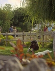 Filename=A_Good_Girls_Guide_to_Murder_S01E05_mkv4030.jpg
Filesize=1614KiB
Dimensions=1920x1080
Date added=Jul 24, 2024 A_Good_Girls_Guide_to_Murder_S01E05_mkv4030.jpg
