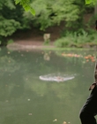 Filename=A_Good_Girls_Guide_to_Murder_S01E06_mkv5582.jpg
Filesize=1141KiB
Dimensions=1920x1080
Date added=Jul 24, 2024 A_Good_Girls_Guide_to_Murder_S01E06_mkv5582.jpg