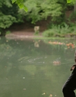 Filename=A_Good_Girls_Guide_to_Murder_S01E06_mkv5584.jpg
Filesize=1235KiB
Dimensions=1920x1080
Date added=Jul 24, 2024 A_Good_Girls_Guide_to_Murder_S01E06_mkv5584.jpg