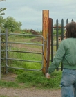 Filename=A_Good_Girls_Guide_to_Murder_S01E06_mkv6435.jpg
Filesize=1537KiB
Dimensions=1920x1080
Date added=Jul 24, 2024 A_Good_Girls_Guide_to_Murder_S01E06_mkv6435.jpg