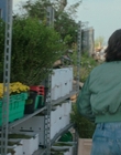 Filename=A_Good_Girls_Guide_to_Murder_S01E06_mkv6459.jpg
Filesize=1130KiB
Dimensions=1920x1080
Date added=Jul 24, 2024 A_Good_Girls_Guide_to_Murder_S01E06_mkv6459.jpg